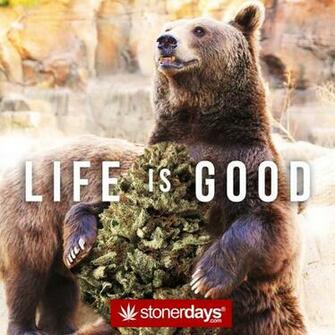 Searched For Marijuana Wallpaper Screensaver Stoner