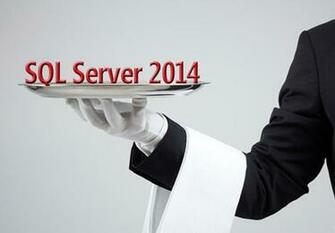 Microsoft Logo Rtms Sql Server