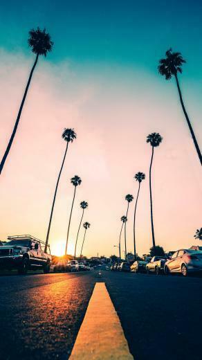 Wallpaper Road Palm Trees Asphalt Cars