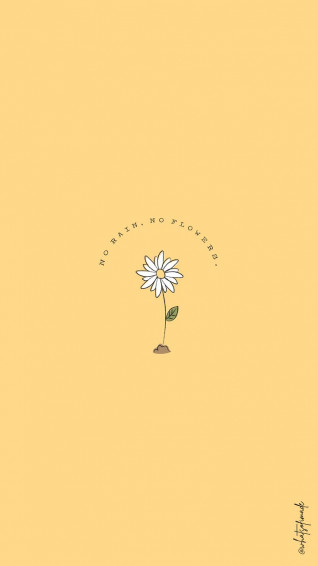 No Rain Flowers iPhone Wallpaper Cute Home Screen