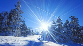 Winter Day In Japan Wallpaper And Image Pictures