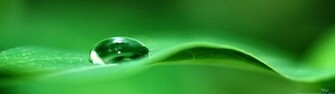 Green Screen Wallpaper HD Base