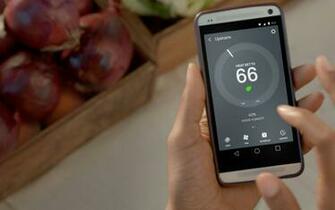 Nest Cooling Wallpaper For You