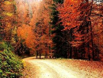 Autumn Wallpaper For Desktop Mega
