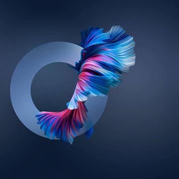 Huawei Mate Pro Stock Wallpaper HD