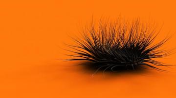 Black And Orange