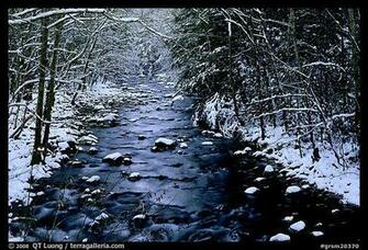 National Parks Eastern Hardwoods Great Smoky Mountains Grsm20370