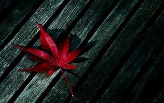 Pin Marijuana Girl Wallpaper Image Crazy Gallery