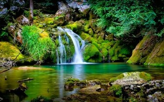 Nature Pictures Wallpaper HD Jpg