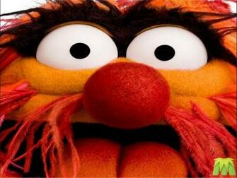 The Muppets