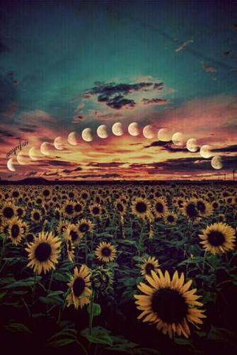 Life En We Heart It Weheartit S Ltfhgf36