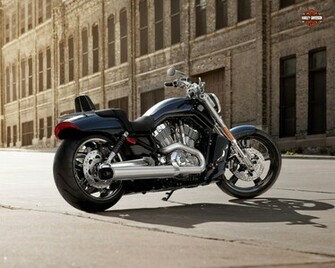 Harley Davidson Vrscf V Rod Muscle Re