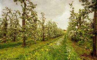 Wallpaper Garden Trees Summer Nature Desktop