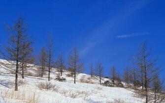 High Definition Wallpaper Snowy Winter Scenes Scenery Snow