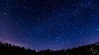 Panoramic Night Sky Stars Forest Wallpaper Stream