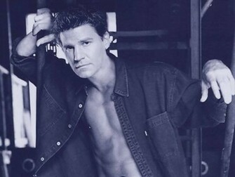 David Boreanaz Image HD Wallpaper And Background Photos