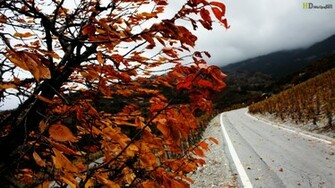 Autumn Superb HD Design Wallpaper