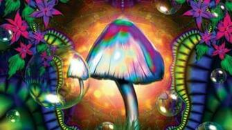 Trippy Stoner Wallpaper Image