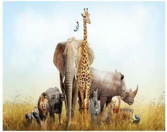 Bertha Bowman Wallpaper Grassland Animal Giraffe Elephant