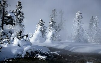 Winter Wallpaper