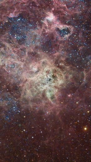 Tarantula Moore High Resolution