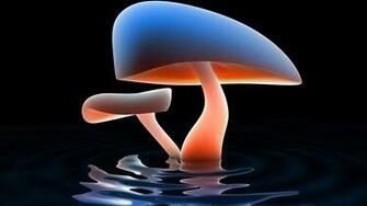 Mushrooms HD Wallpaper S Background