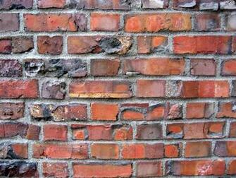Darcy Cruz Brick Wallpaper