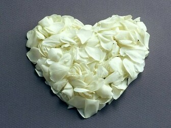 Flowers Pictures Beautiful Wallpaper White Roses