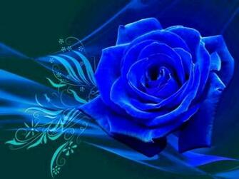 Blue Rose Wallpaper HD Desktopinhq