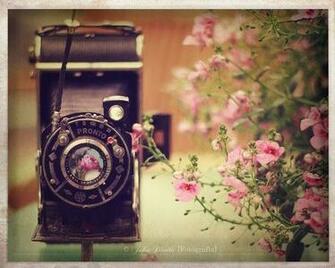 Vintage Wallie Wallpaper Cute Flowers Camera