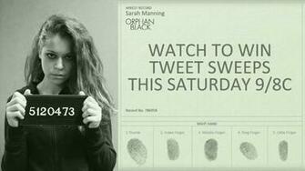 Orphan Black Wallpaper
