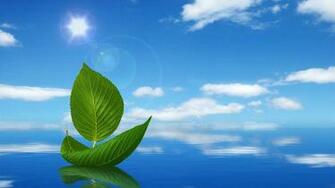 Wallpaper Windows Nature Blue