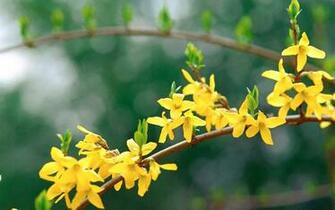 Beautiful Pictures Of Nature Slideshow Best Wallpaper Background