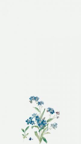 Ayshaalomeri On Korda Aesthetic iPhone Wallpaper Simple