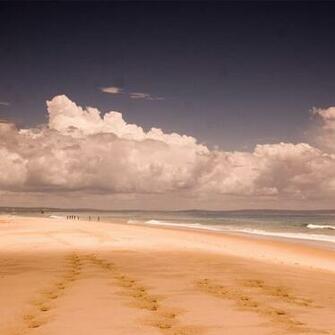 Mozambique Beach Robin Sprong Wallpaper