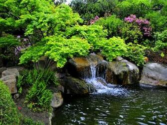 Lovely Forest Stream Wallpaper