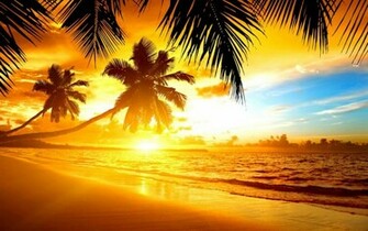 Large Tropical Island Sunset Wallpaper
