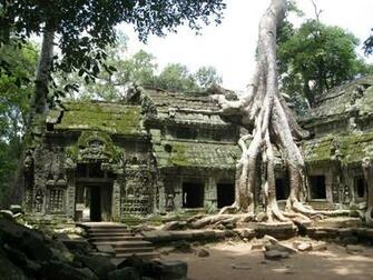 Kayla Delgado Angkor Wat Wallpaper