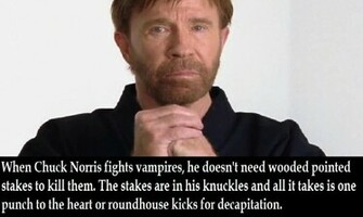 Chuck Norris Fact By Sweetgems