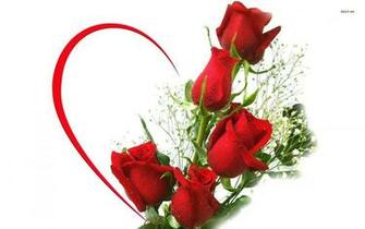 Red Rose Bouquet Wallpaper Flowers HD