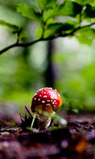 HD Wallpaper For Blackberry Z10 Just A