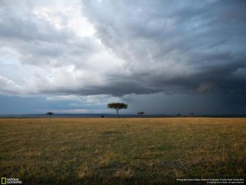 Masai Mara Sunset National Geographic Wallpaper Pre
