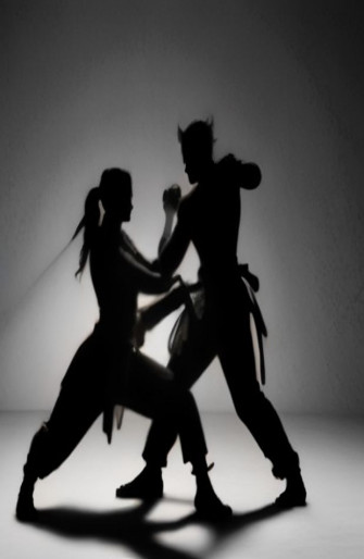 Shadow Fight Wallpaper