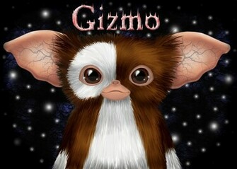 Gizmo By Saccstry