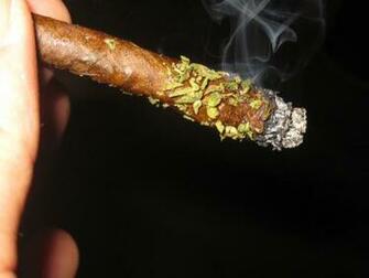 Weed Blunt 420tainment Smoking