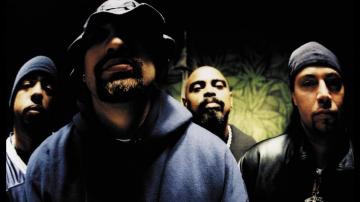 Best Cypress Hill Wallpaper Swamp