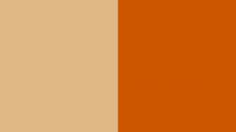 Resolution Burlywood And Burnt Orange Solid Two