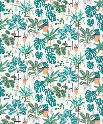 House Plants Bright Bold Botanical Wallpaper Milton King