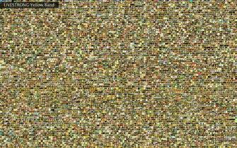 Image Of Livestrong In 4k Ultra HD