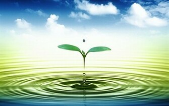 3d Leaf Water Drop HD Desktop Wallpaper